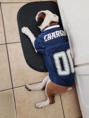 Los Angeles Chargers NFL Dog Jersey Size XL (up to 60lb)